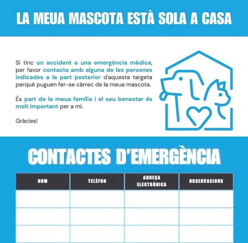 La Concejalía de Bienestar animal lanza una iniciativa para proteger a las mascotas en caso ...