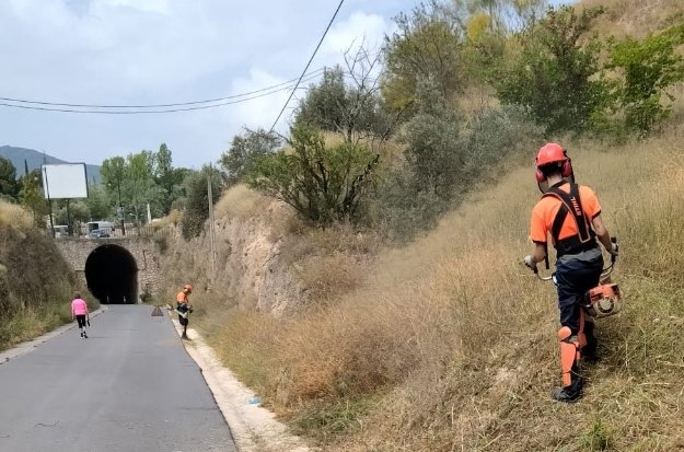 Clearing the area of Mestre Ribera Montés