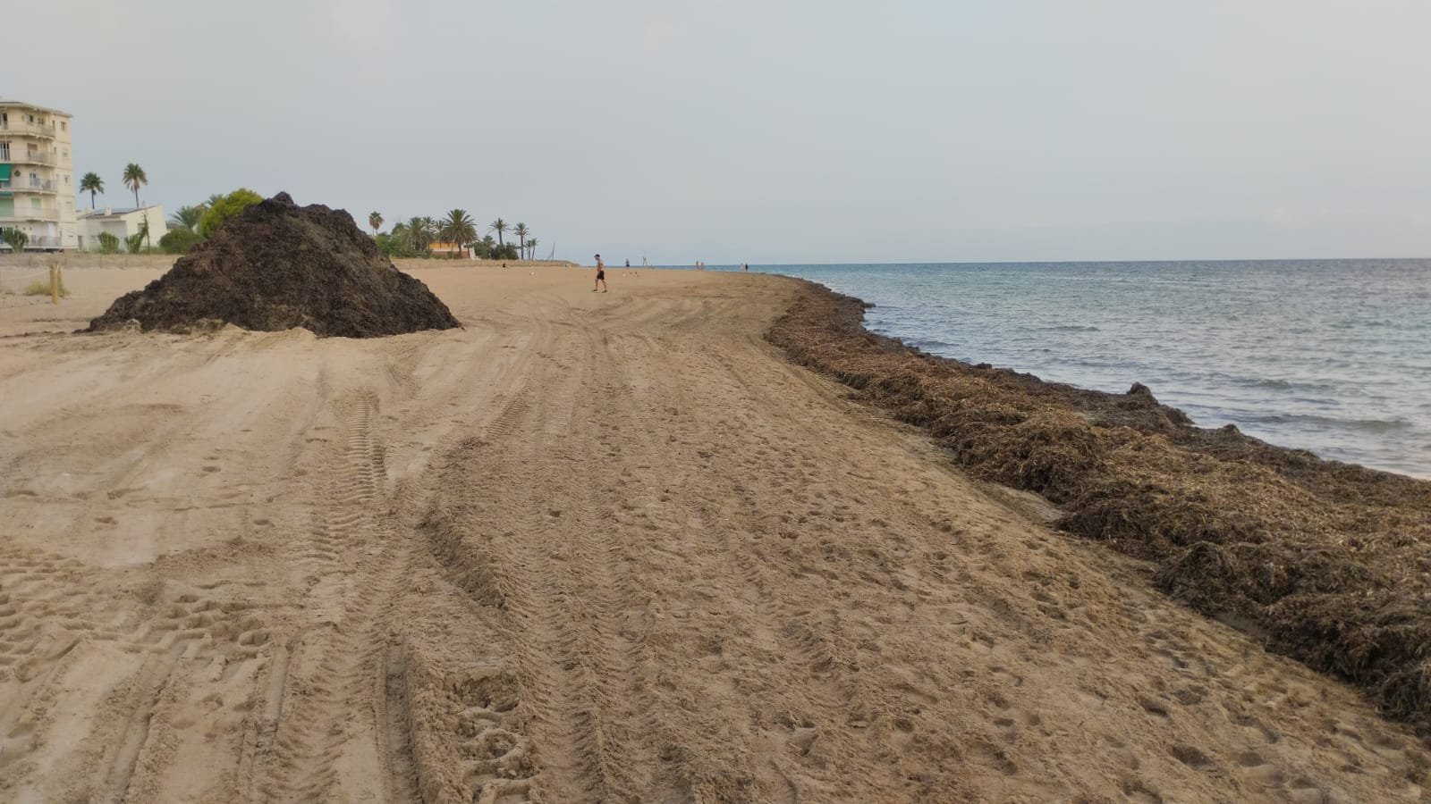 La modificación del