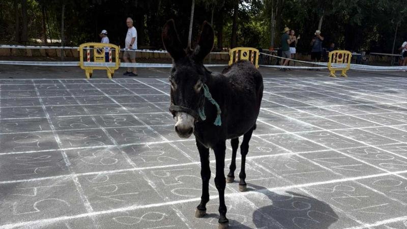 Cagà de la burra 2025