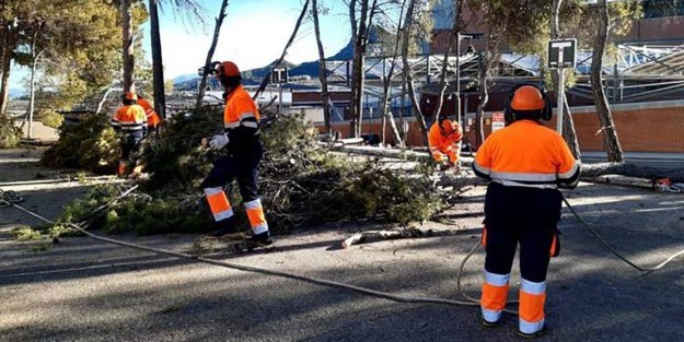 Jóvenes de AVALEM trabajando por el mantenimiento de Alcoy