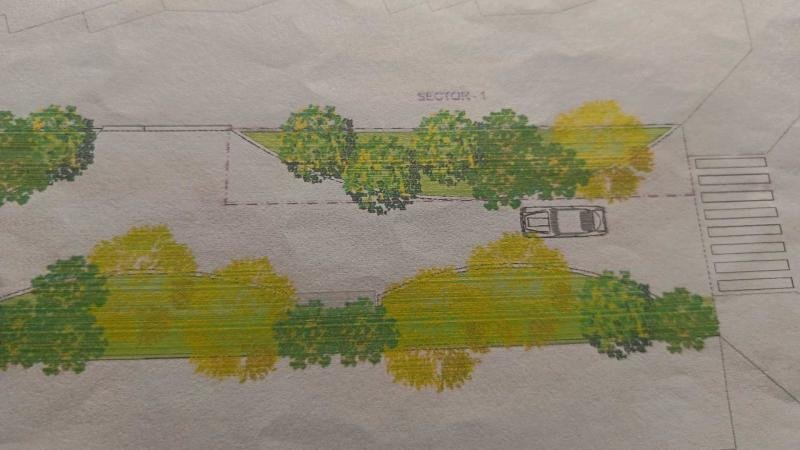 Benidorm extiende la renaturalización de espacios públicos a la calle Miguel Martorell