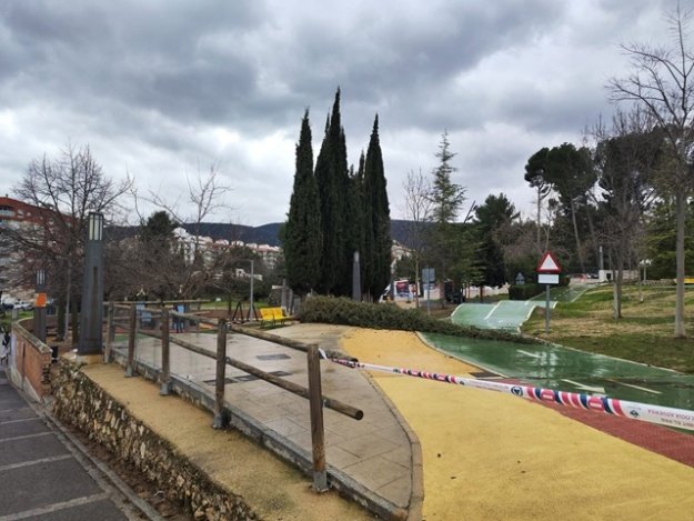 Ciprés caido en el parque de El Romeral