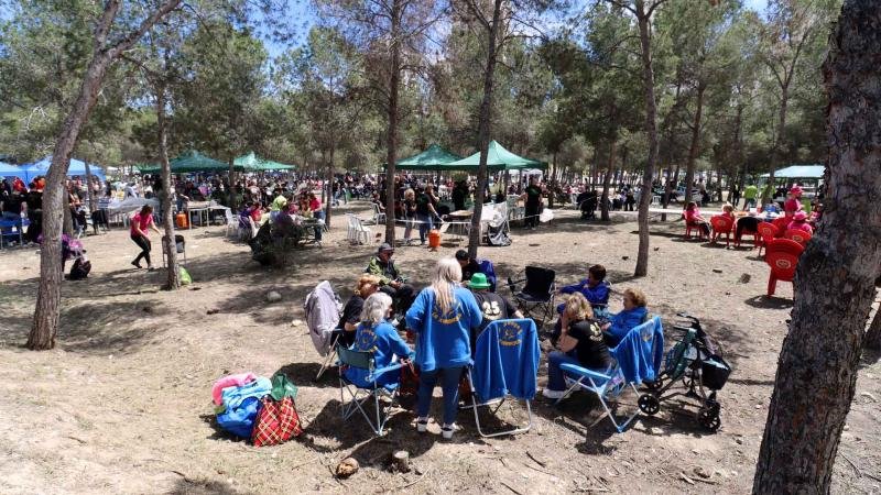 Los peñistas de Benidorm celebran este domingo el ‘Dia de la Mona’ en el Parc de la Séquia Mare